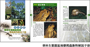 華林生態園區兩棲爬蟲動物解說手冊